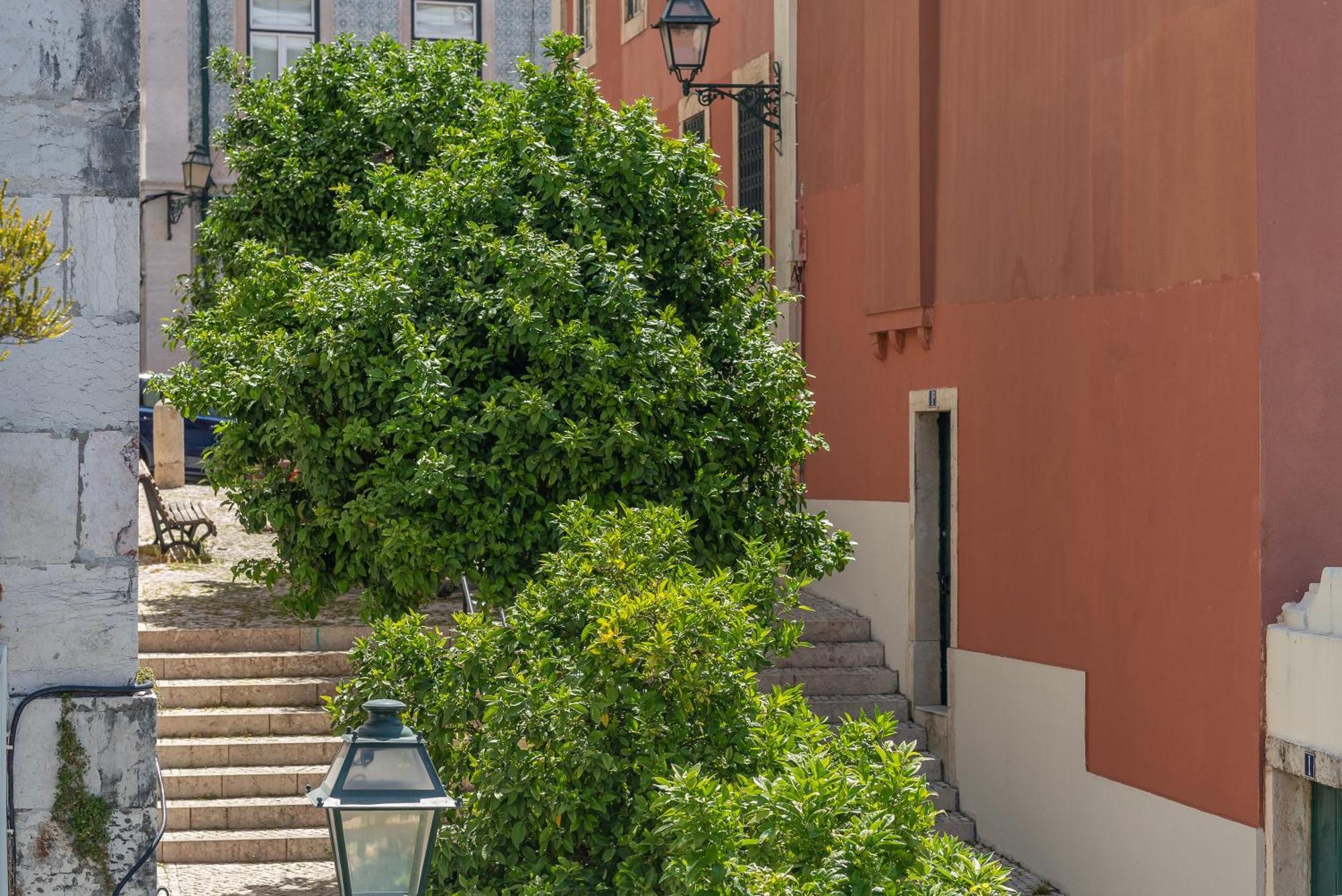 Orange 3 House - Chiado Studios Lejlighed